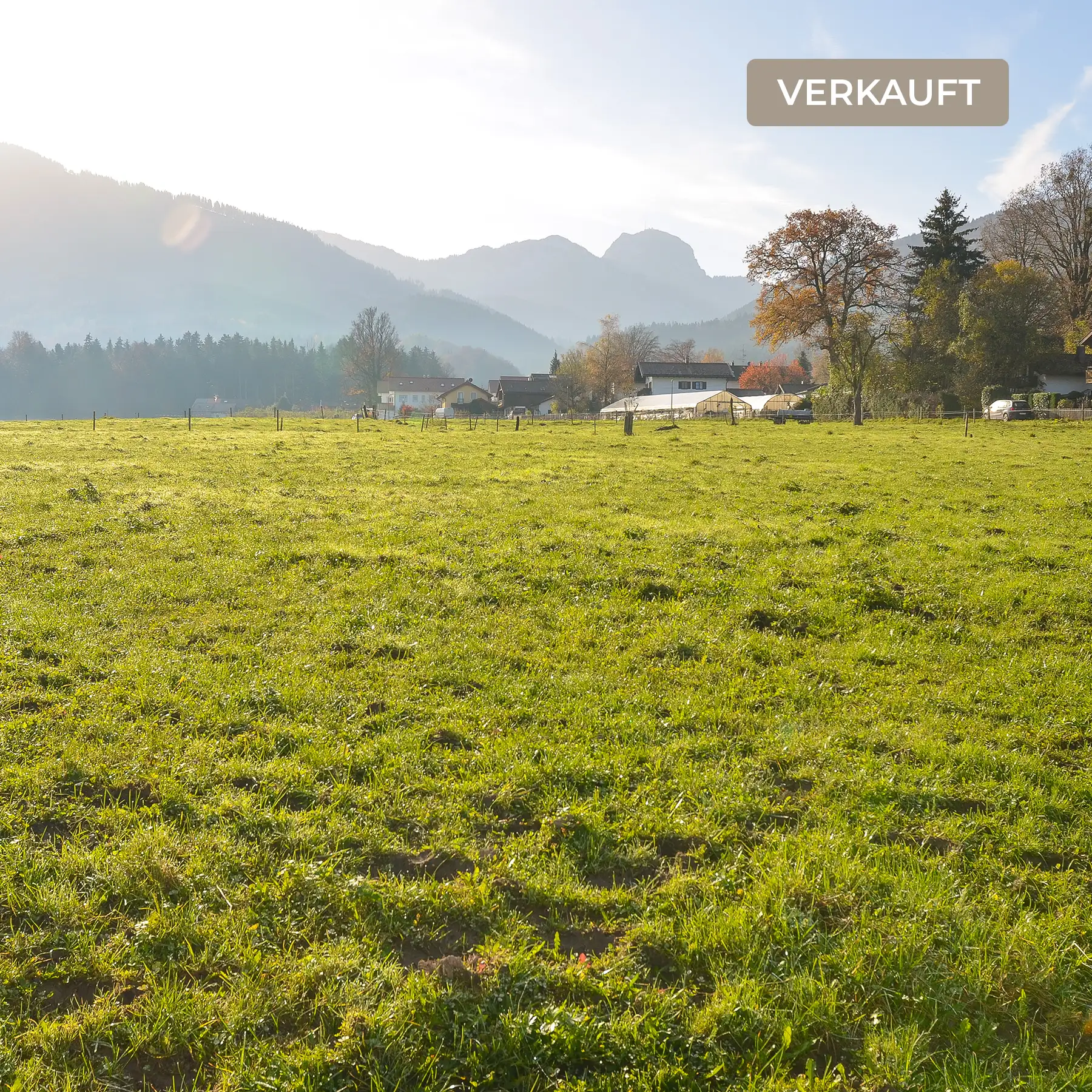 Grundstück mit Bergblick