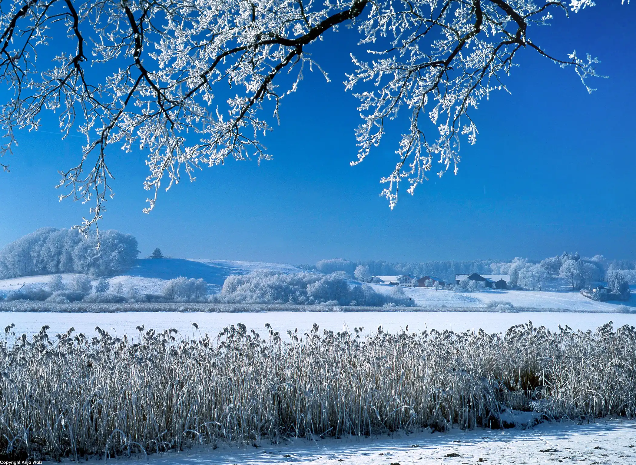 Verschneite Landschaft um Egglburger See
