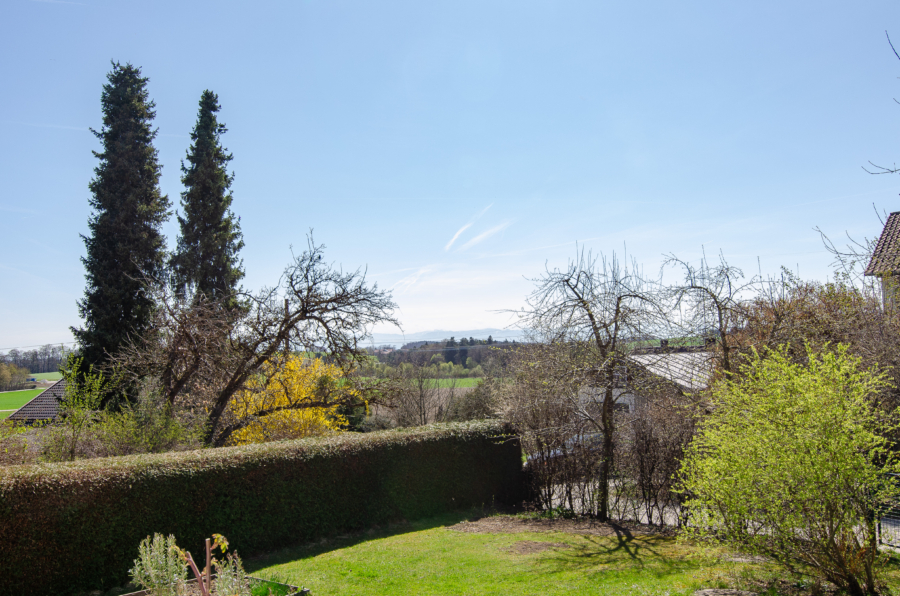 Blick vom Südbalkon